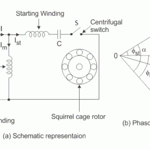 Capacitor start induction motor
