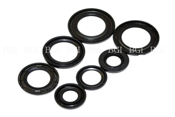 Different type of oil seal